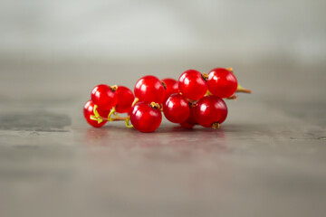 Red currants scattered over a gray texture background