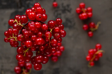 Red currant in a shot glass, the rest is scattered around it on a gray textured background