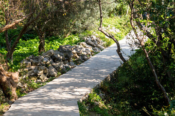 Stone path in the forest