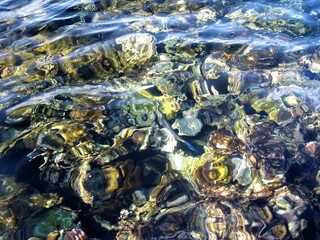 the bottom under water