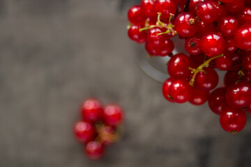 Red currant in a shot glass, the rest is scattered around it on a gray textured background
