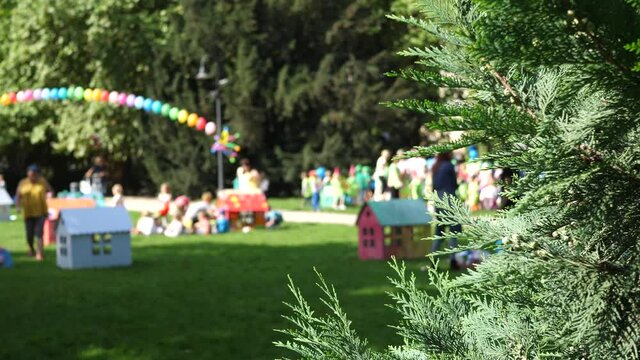 Pine tree blur children in background