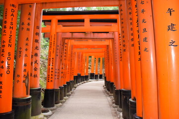 Temple Fushimi Inari Taisha