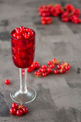 Red currant in a shot glass, the rest is scattered around it on a gray textured background