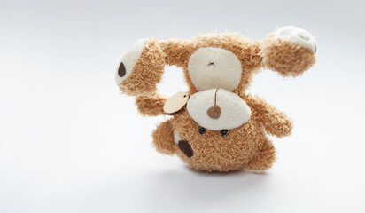 soft toy teddy bear on head, white background
