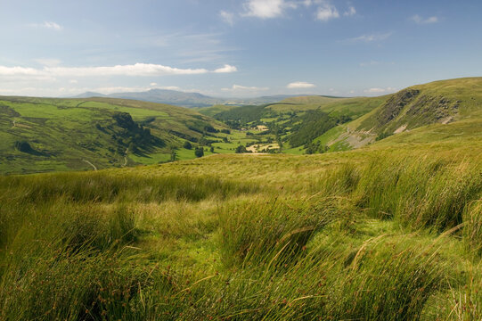  Dinas Mawddwy Cambrian Mountains  Gwynedd  Wales