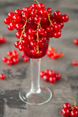 Fototapeta na wymiar Red currant in a shot glass, the rest is scattered around it on a gray textured background