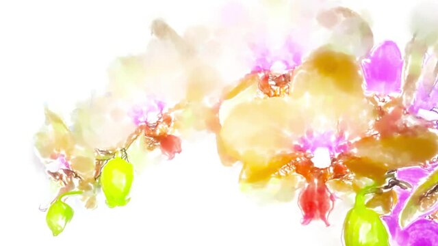 Floral collection. Watercolor orchid branches hand drawn illustration. Colorful floral collection with multicolored flowers, leaves, branches. Footage HD, 4K