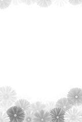 ハガキテンプレート　菊の花　モノクロ　横