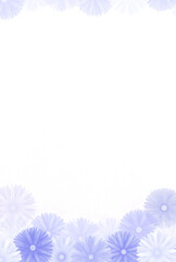 ハガキテンプレート　菊の花　紫　縦　文字横