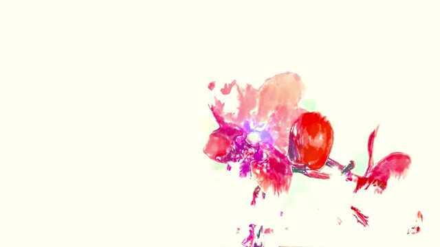 Floral collection. Botanical background animation. Blooming live image, motion design. Beautiful Colorful Orchids - hand painted watercolor flowers. Cute aquarelle paintings invitation. Time lapse vid