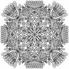 folk style flowers with ornaments drawn on a white background, vector