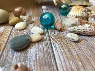 sea shells and stones