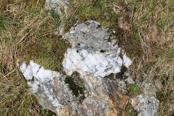 A close up view of some white quartz rock surrounded by vegetation.