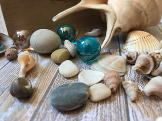 shells and stones
