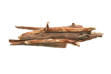 dry oak branch isolated on white background