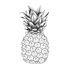 Vector illustration of pineapple. Drawn by hand. Creates a summer tropical mood.