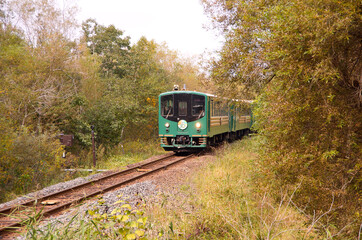 Naklejka premium Local train / 北海道のローカル線。森に囲まれて。