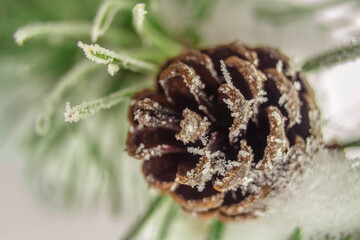 Christmas background. Cones and branches ate with frost in winter.