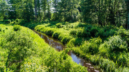 Malownicza polana w Puszczy Knyszyńskiej, Podlasie, Polska © podlaski49