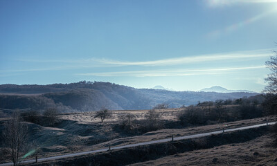 Mountain landscape with with growing trees