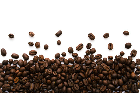A strip at the bottom of many coffee beans © mantisphoto