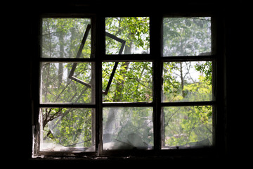 A broken window in an abandoned building. Daylight coming through the broken window of an old abandoned room. Greenery outside the window. Ruins.