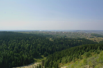 Naklejka premium forest in the morning