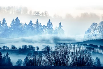 Foto auf gebürstetem Alu-Dibond Wald im Nebel Morgennebel und ein Wald