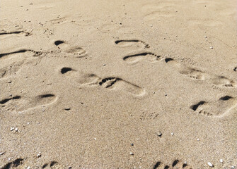 Many different prints of male and female legs on the sea sand with sea shells. Walk barefoot along the shore with footprints. Tourist rest.