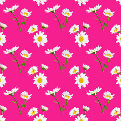 Daisies on a pink background, floral pattern