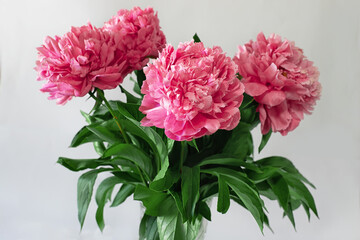 bouquet of five pink peonies