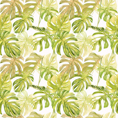 Naklejka na ściany i meble Watercolor illustration seamless pattern of tropical leaf monstera. Perfect as background texture, wrapping paper, textile or wallpaper design. Hand drawn