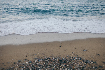 A bird standing on top of a sandy beach