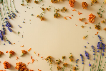 Dry medicinal herbs on yellow background. Place for text, flat lay style. Alternative medicine concept