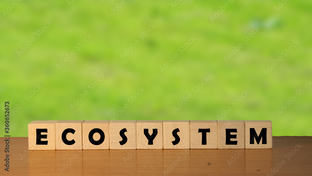 Poster ecosystem concept message word on a wooden desk on cube blocks with a green nature background.