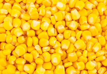 Canned sweet corn pattern or background