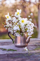 Steel kettle with sprigs of cherry blossoms, pears and apple trees on a natural blurred background