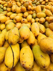 fresh yellow mangoes marketing Mumbai India .