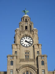 Fototapeta na wymiar Liver Building, Liverpool