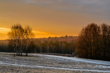 Sunrise above the early spring forest