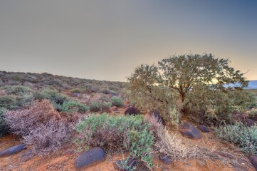 VIEW OF THE TANKWA KAROO  in a time of drought