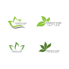 Set Leaf Logo Template vector