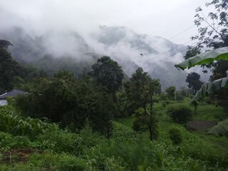 Foggy view after monsoon rain.