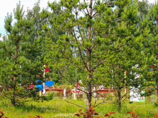 parks and nature.children's playgrounds are surrounded by greenery.