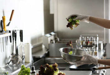 Female chef cooking tasty salad in restaurant kitchen, closeup