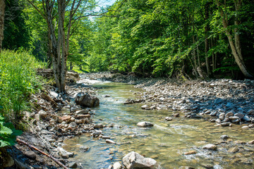 Obraz premium Clean small mountain river on a hot summer day in Transylvania, the Carpathian mountains.