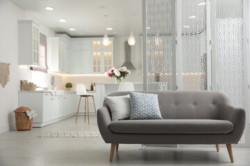 Comfortable sofa and modern kitchen in apartment. Interior design