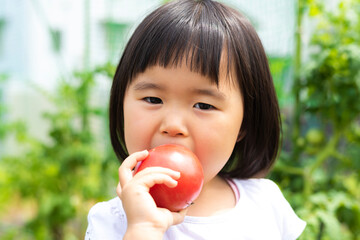 家庭菜園で採れたトマトを手に持つ子供
