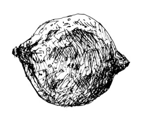 Lemon drawn in black gel pen in vector